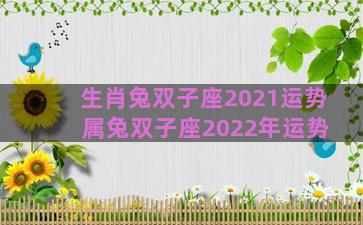生肖兔双子座2021运势 属兔双子座2022年运势